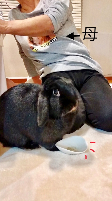 C7B2E4FD-C726-4487-8496-692F26196B34