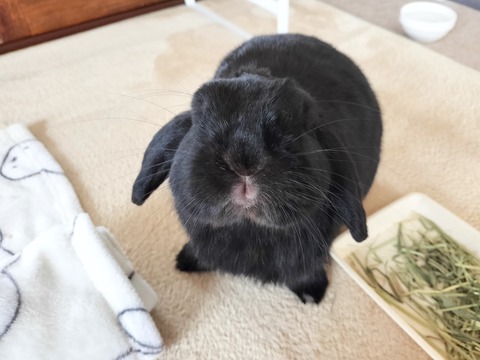 A34D394C-9D68-4D09-A4FC-A91DB174574C