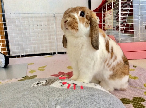 12130D41-4069-4BBA-8CF5-887621E13C80