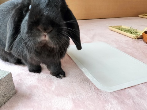 C2B8D95E-9133-4354-A285-EAD0B33329C0