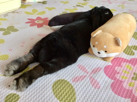 F14D04CB-13A9-49AD-8EAE-634D76850962