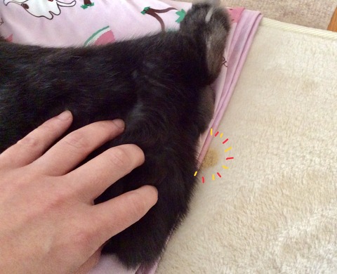 9BBE0FD1-4C18-4DEE-9AAA-25B38F164A15