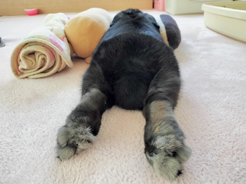 34BDB58C-3430-4F67-A3D4-8B12A852F151