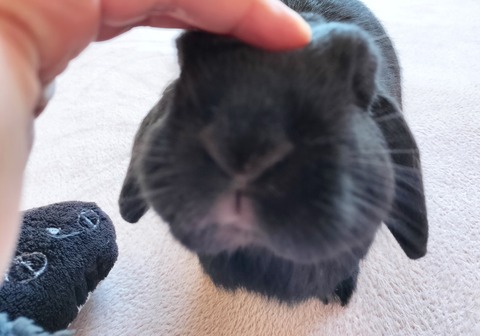 7EAEF3FE-E3A2-49B1-85E4-A298A7E5CF7D