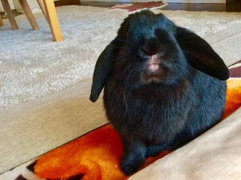 30C50682-92ED-4D6A-B4E9-432CF620C767