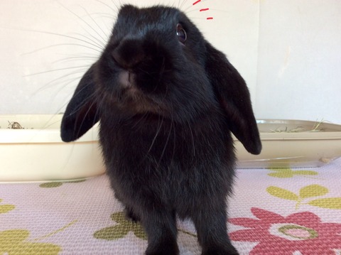 F9A1A06D-CF0B-44E6-B05E-9A335DBC3915