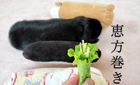 B892088C-CAB2-4204-A57C-6DA1E227BA0A