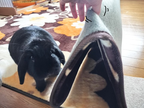 E093F38D-3330-4FC6-B8C9-D26BC2813391