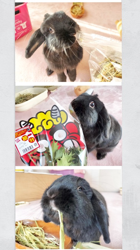 73ACFE65-B0FF-4ADC-B2B5-FEB1E1ECE3B0