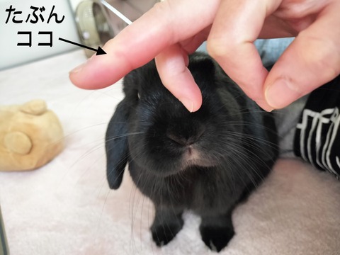 89A1E82A-B34B-4B0B-A1F4-06DC46ABBC8D