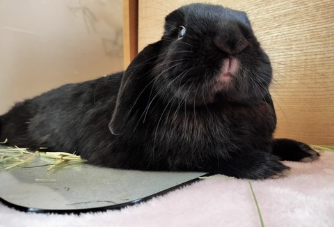 3325EEFF-1782-44D2-9B01-C30E1574071B