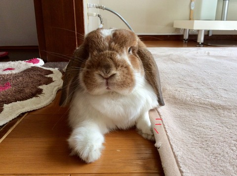 A0A0FCF3-B832-4F0D-8A04-A629D95D369A