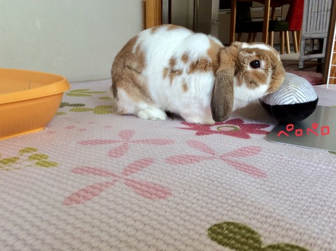 A345ED6A-0407-47C4-8C76-2F894BAE5AD1