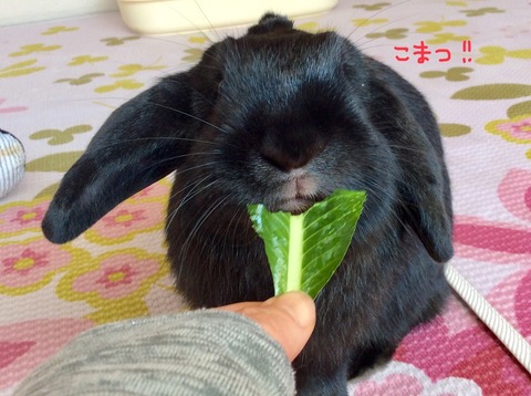 70C7BC94-C363-490D-A13E-A4D3D072DFEB