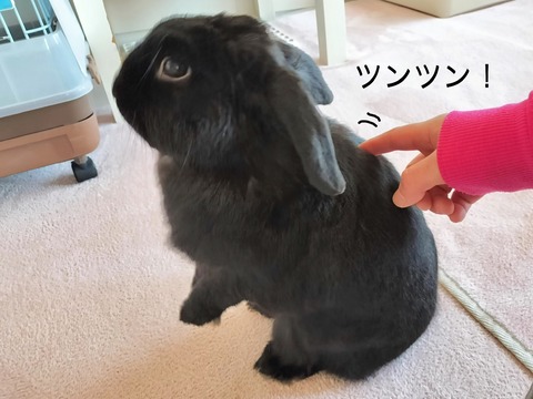 FF2FAC1B-E358-4E29-9CB7-772A16AF915B