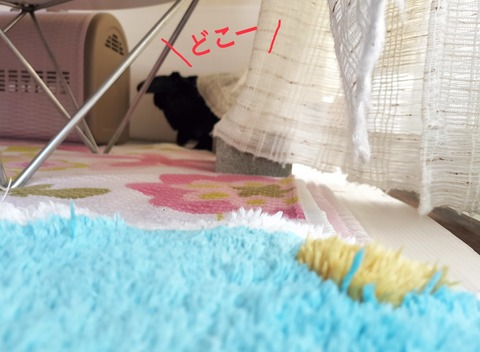 091B938D-0AB2-4A68-9C0A-493AD3C49279