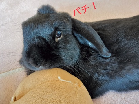 781B6690-8905-40E3-A363-9F3DE0B01807