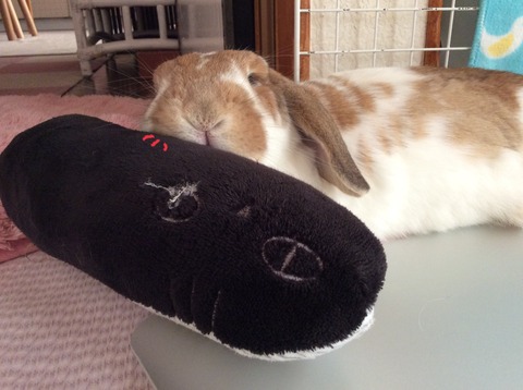 ECC539A7-6AB7-4C60-A3AF-A47B35DE896D