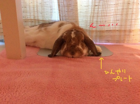 45F26344-73E7-4E80-98C3-32CF69B0C3D9