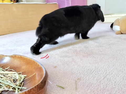 99AA66BA-D391-4BEB-847D-326222D9838F