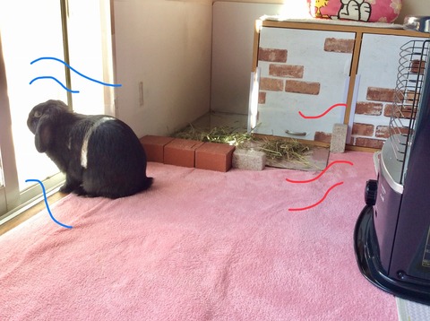 19C42D92-1EB9-4B9C-A515-CD210DEBE2D1