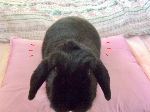 546EAA2D-E51D-4785-AA9E-AAE4FDAEF4FC