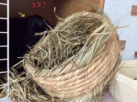 E163D665-4C2C-4ECE-9527-341CDD424C57