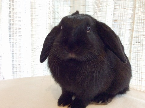 CC6CD00C-9ABD-4540-B5E3-0EA318B72D1F