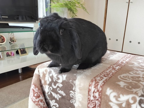 67950F7A-82E9-41DA-B1F5-577B769B8709