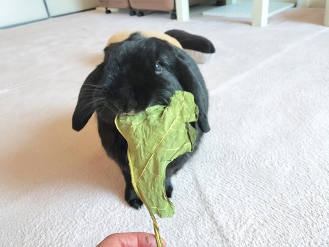 3D9968BD-2647-447F-842C-57BAD46D87F0