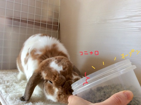 9F6DDB70-3CB7-40EC-8D71-7FADEAA8964D