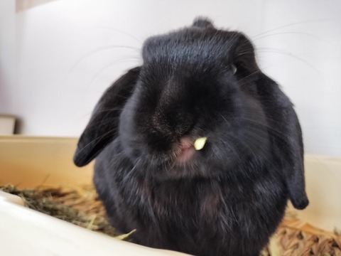 2527EB01-53CE-4579-BACF-C60A09C89DF1