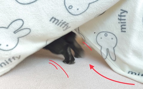 CACF200F-315E-4BA9-808C-6E05E6901C4D