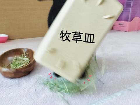 EAE4CA97-5F97-4391-97BA-7773D52384D5