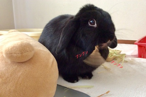 E8FC28EF-B3C4-480A-B532-126F8EBC99ED