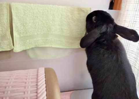 909AE719-982D-412F-82B3-4C7B9E48B5A5