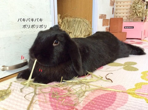 68E5324C-DBCC-498B-B500-7155F3806700