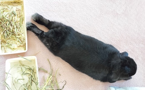 70A198E4-D7EB-43E8-B95A-EF748355F70E