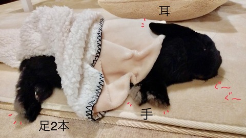 2DB41800-DBF8-4B69-944C-911B0FFC54F0