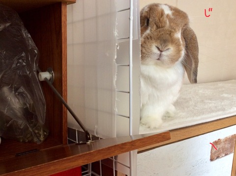 FE597E2D-BB39-4455-AE94-0DADAE59350A