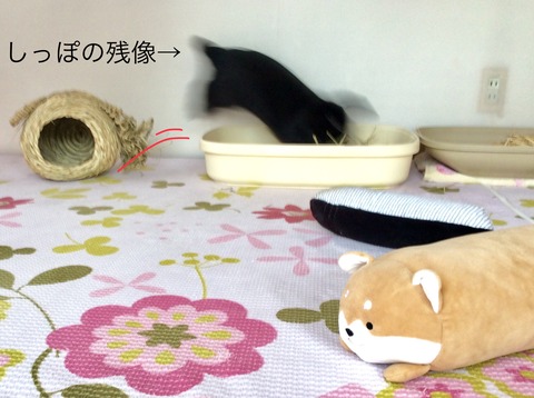 2618F773-C482-4BC8-8687-D431F4448D0D