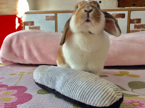 DD6C8AB8-32BD-4991-BEF1-AA661CC21625