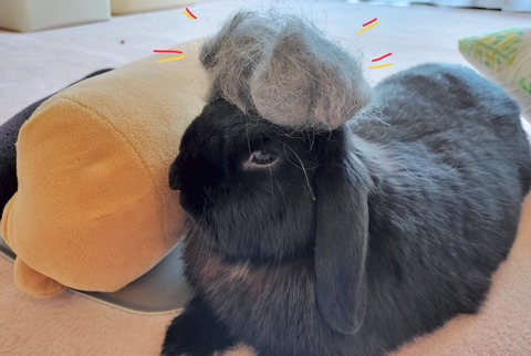 0C61A213-1F06-4CE3-9FC7-A8FE57243341