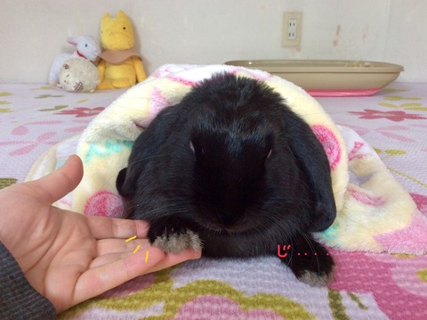 CC706FE9-B034-4A4C-A821-D75DF2E7B4A0