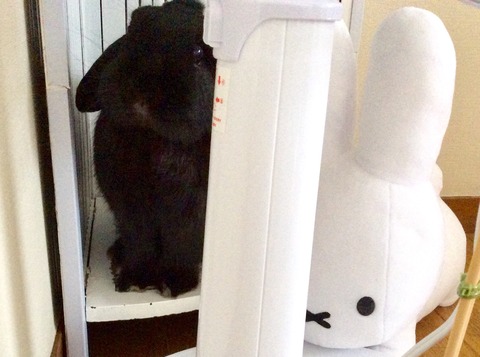 93ED7A97-2E02-4C24-A0C0-CA174AA2077C