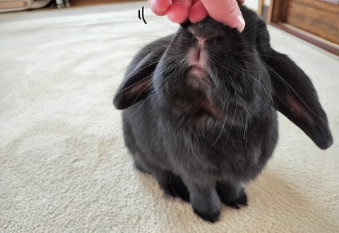 7B6329AB-5638-44E1-B591-E11331C16931