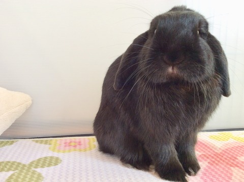 9C3AB02C-EB51-413B-90D2-048D39BA3653