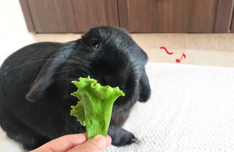 78F45C4A-D31F-446D-B02D-6588208DB2E4