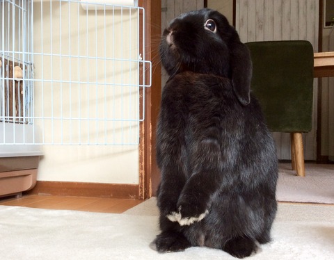 14ECC591-0391-4732-A759-A06444F048F4