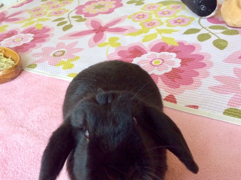 FC6A56EE-8F21-49D8-94B1-CBEF727D6185